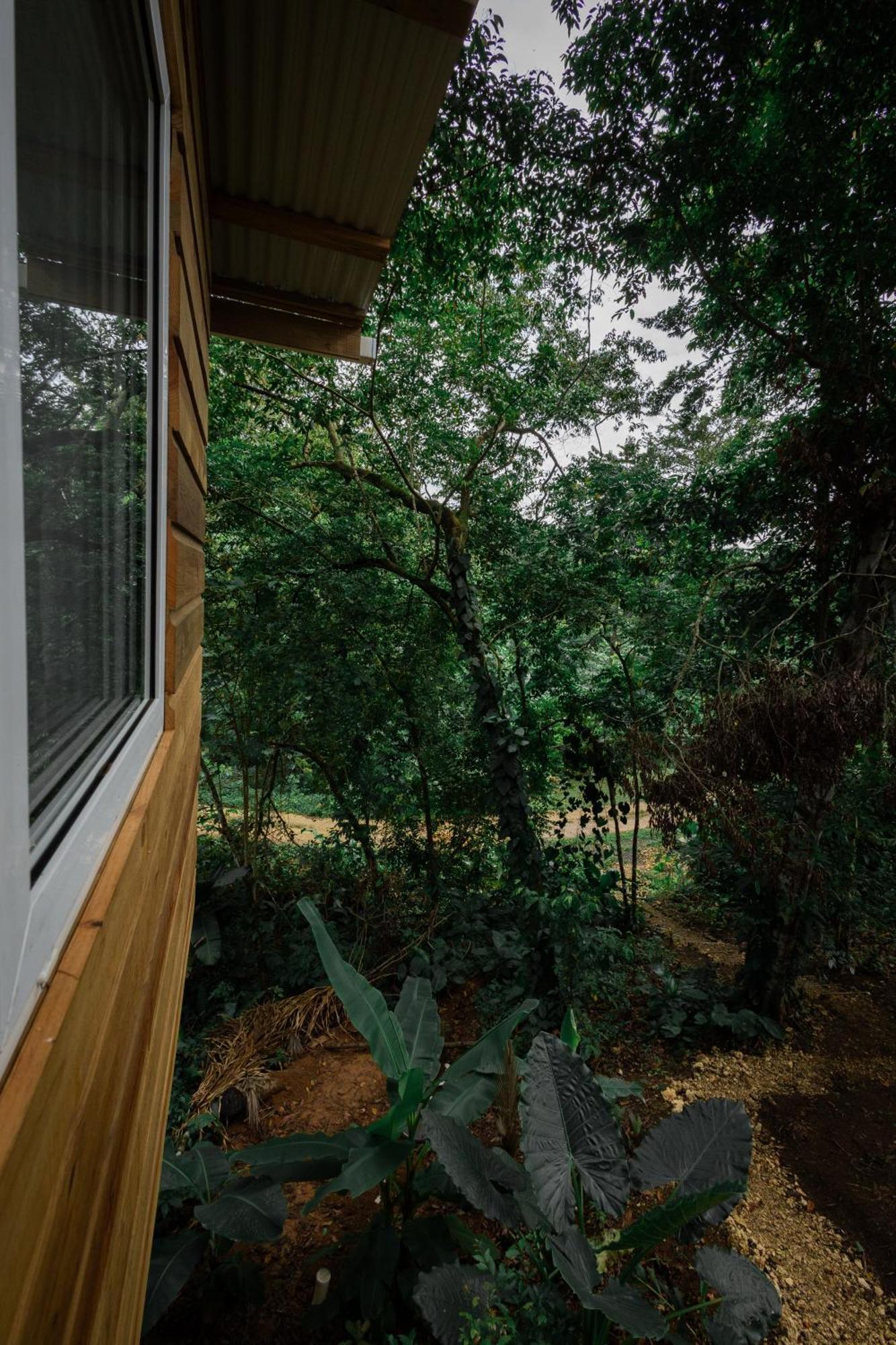 Monkey Tiny House - Private Swimming Pool Villa Big Bight Bagian luar foto